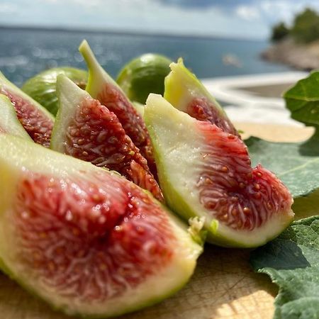 Appartamento Porat Starigrad Paklenica Esterno foto